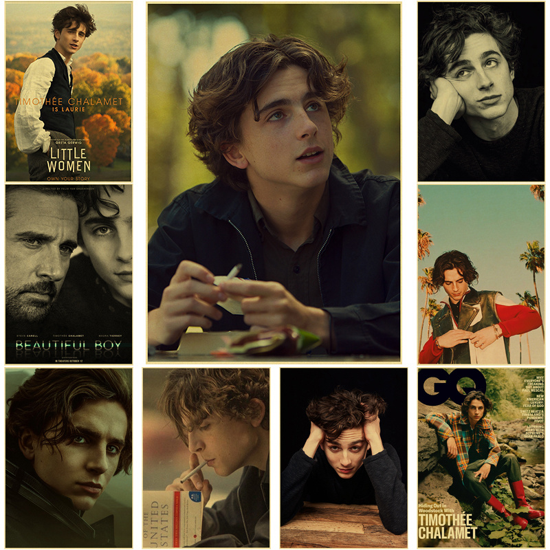 Home Bar And Theater - Timothee Chalamet Retro Leinwand Malerei Poster